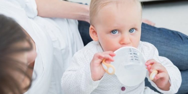 Comment donner à boire à un bébé lapin ?