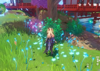 Où trouver des belettes ?