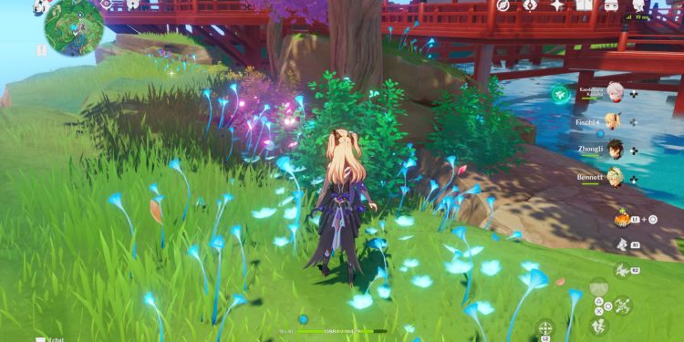 Où trouver des belettes ?