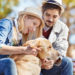 Comment séparer un chien et une chienne ?