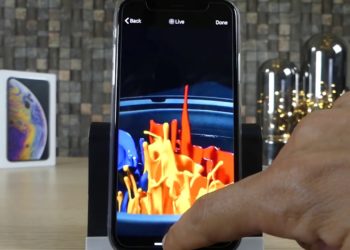 Comment vider une litière ?