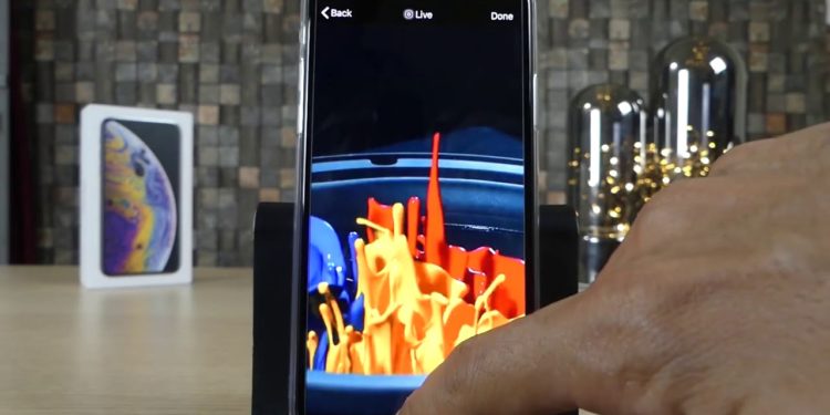 Comment vider une litière ?