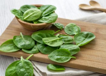 Quand prendre de l'amoxicilline ?