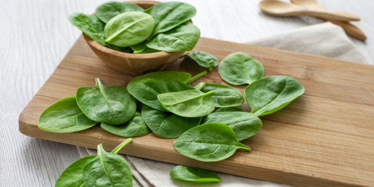 Quand prendre de l'amoxicilline ?