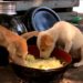 Puis-je donner du couscous à mon chien ?
