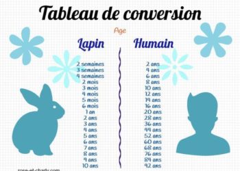 Comment savoir l'âge humain d'un lapin ?