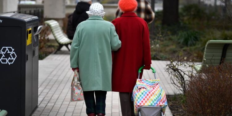 Pourquoi les rats ne vivent pas longtemps ?