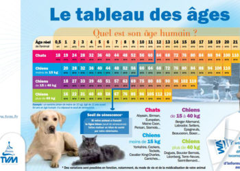Quel est l'âge maximum d'un chien ?