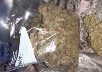 Quel animal vit seulement à Madagascar en 5 lettres ?