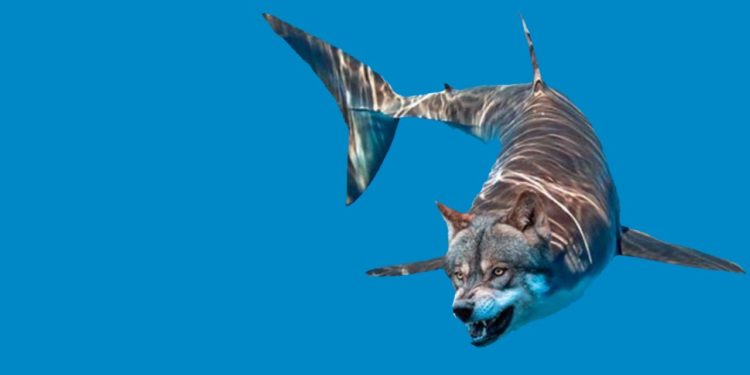 Quel animal a un cortex ?