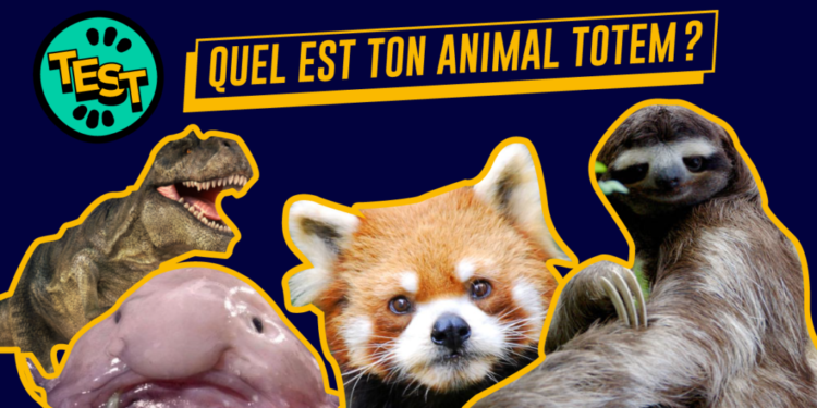 Quel animal est toujours enceinte ?