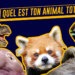 Quel animal est toujours enceinte ?