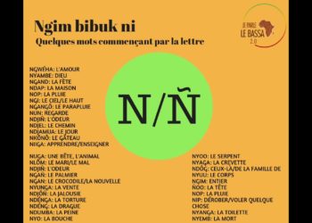 Quel mot commence par la lettre N ?