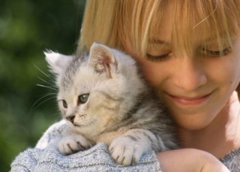 Quel animal de compagnie dans un studio ?