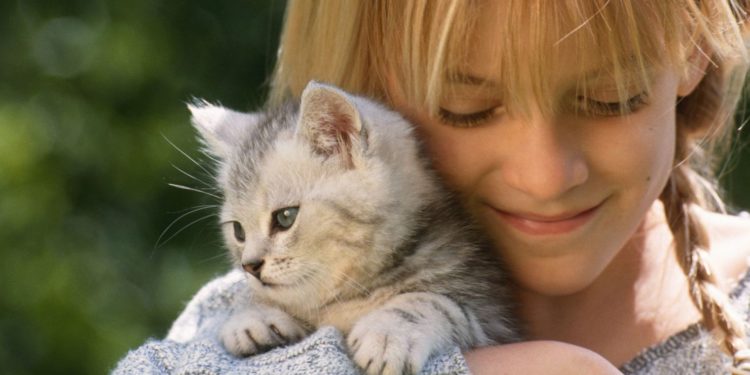 Quel animal de compagnie dans un studio ?