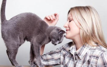 Quel animal adopter quand on travaille ?
