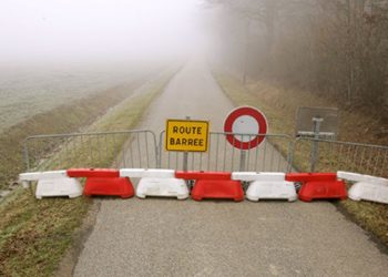Quel singe Peut-on avoir en France ?