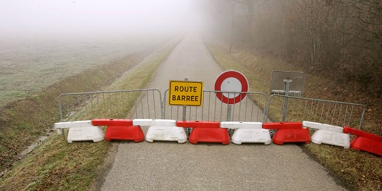 Quel singe Peut-on avoir en France ?