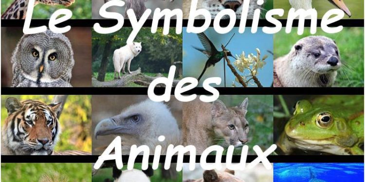 Quel animal symbolise la paix ?