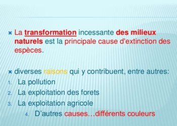 Quelle est la principale cause de l'extinction des animaux non humains ?