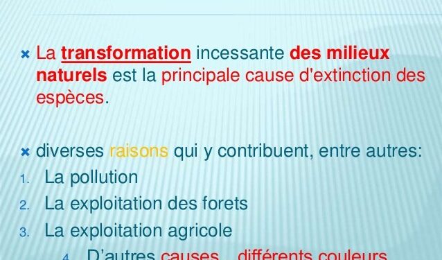 Quelle est la principale cause de l'extinction des animaux non humains ?