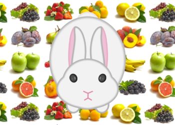 Quels fruits peuvent manger les lapins ?