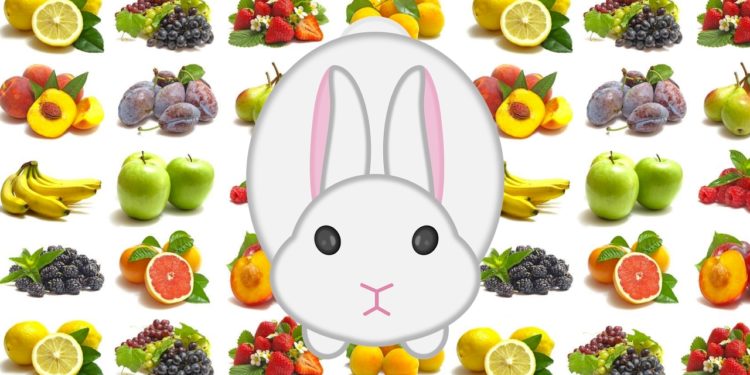 Quels fruits peuvent manger les lapins ?