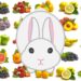 Quels fruits peuvent manger les lapins ?