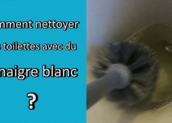 Comment traiter les doryphores avec du vinaigre blanc ?