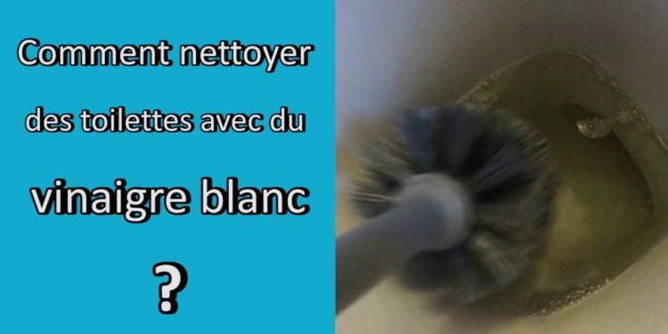 Comment traiter les doryphores avec du vinaigre blanc ?