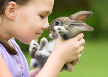 Quel animal de nos fermes Grouine ?