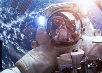 Pourquoi les éléphants Ont-ils une mauvaise vue ?