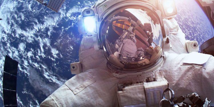 Pourquoi les éléphants Ont-ils une mauvaise vue ?