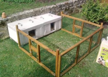 Comment construire un clapier pour cochon d'Inde ?