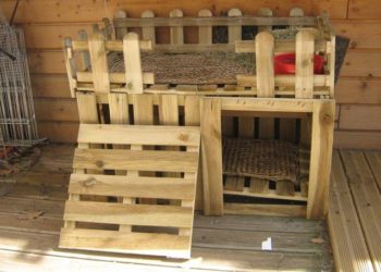 Comment fabriquer une cabane extérieur pour cochon d'Inde ?