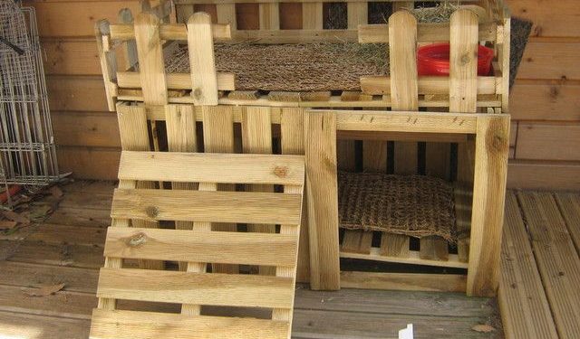 Comment fabriquer une cabane extérieur pour cochon d'Inde ?