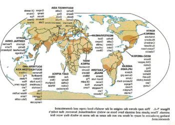 Quels sont les animaux que l'homme domestique ?