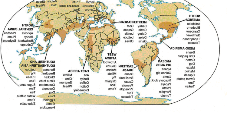 Quels sont les animaux que l'homme domestique ?