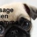 Comment appeler un chien sourd ?