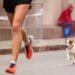 Est-ce bon de courir avec son chien ?