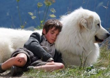 Quelle race est belle ?