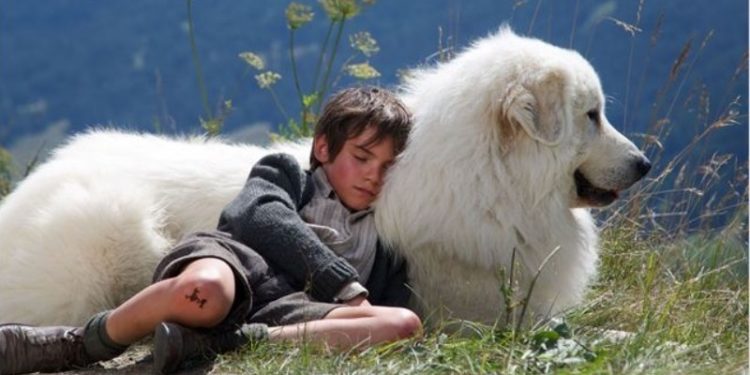 Quelle race est belle ?