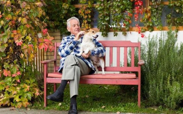 Quel est le meilleur chien pour une personne agée ?