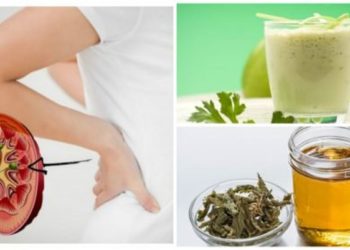 Comment dissoudre les calculs rénaux naturellement chez le chat ?