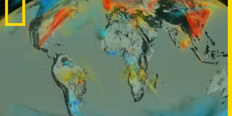 Comment se déplace la taupe ?