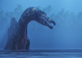 Est-ce que les dinosaures nagent ?