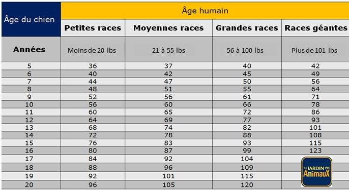 Quel âge a mon chien de 17 ans ?