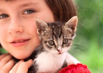 Quel est le meilleur animal de compagnie en appartement ?