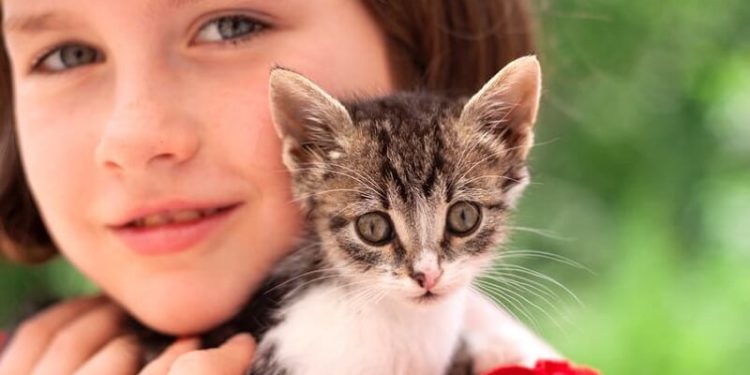 Quel est le meilleur animal de compagnie en appartement ?