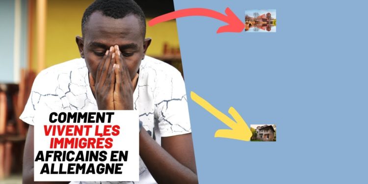 Comment vivent les éléphant ?